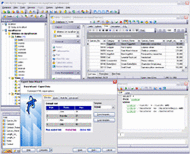 EMS SQL Manager 2005 Lite for MySQL screenshot